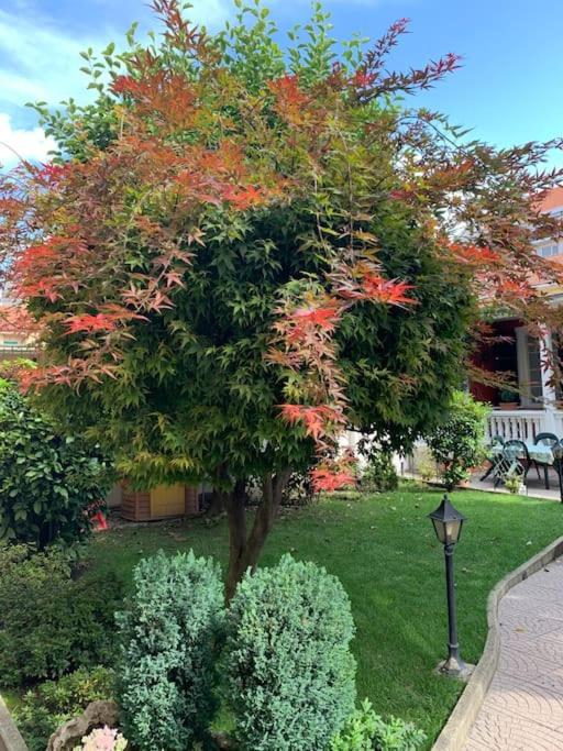 At Home 128 : Little Garden In The City Τορίνο Εξωτερικό φωτογραφία